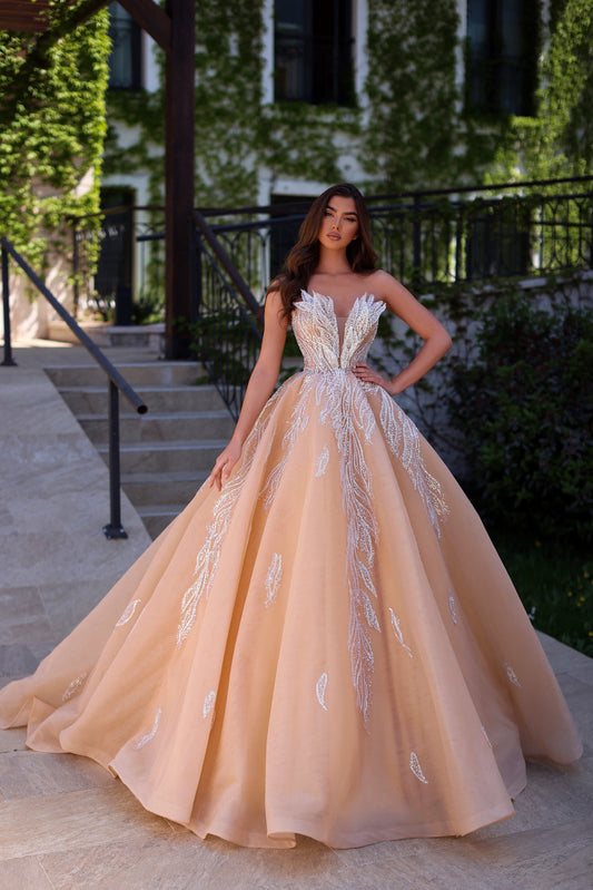 Nude Color Gown with Beautiful Corset Design